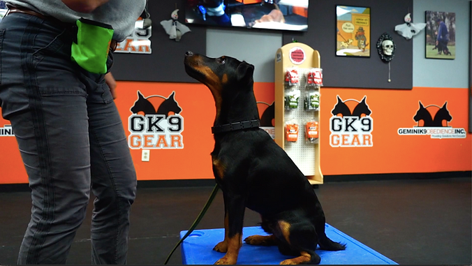 Screen Shot 2025-11-04 at 11.15.56 PM.png