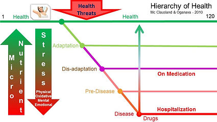 Slide3.JPG
