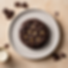 Double Chocolate Cookie