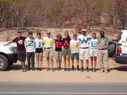 Image by Element5 Digital