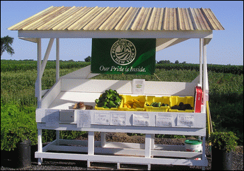 north branch farms stand