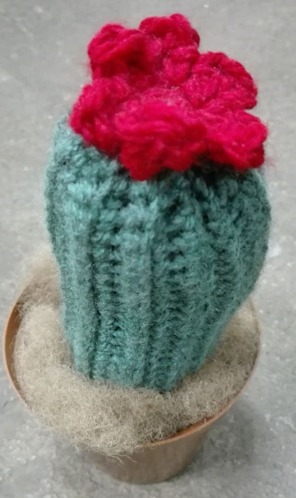Thumbnail: Hekel Cactus Plant