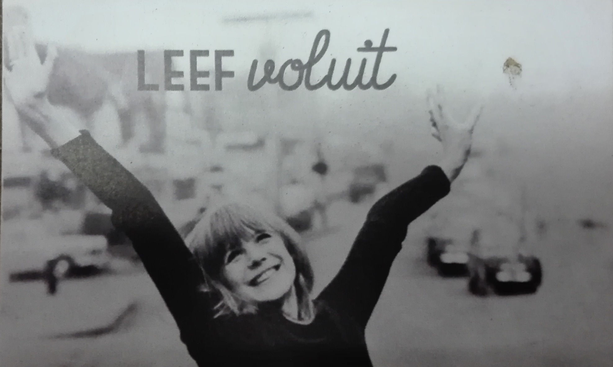 CUT - Magnet