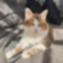 Fredy