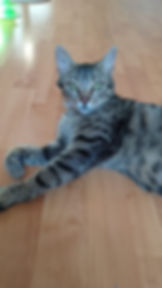 Elsie