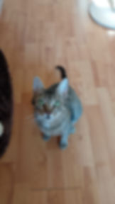 Elsie