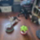 Aeris (à droite) et son frère Sephiro