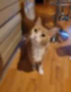 Yuka