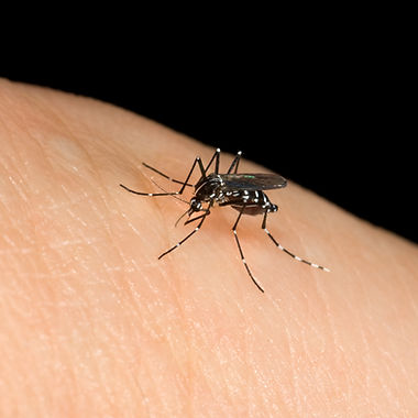 mosquito treatment in edmond ok