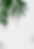 Screenshot 2024-03-14 at 14.55.46.png