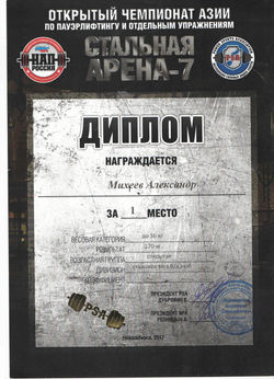 ст арена 2017
