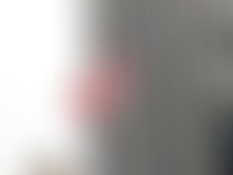 Nous voici au Canada : Bienvenue à Montréal !