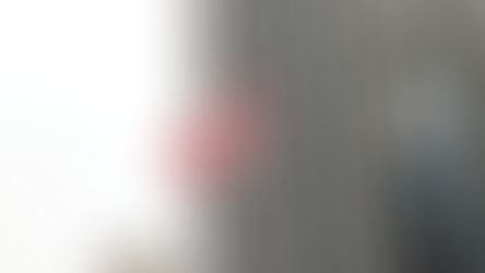 Nous voici au Canada : Bienvenue à Montréal !