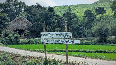 Nature, canards et train de nuit