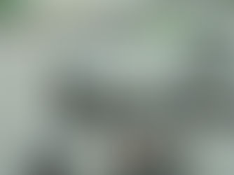 Le zoning de Froyennes touché par un incendie