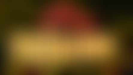 Le Têt 2025 à Ho Chi Minh-Ville