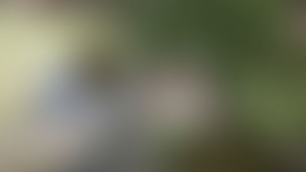 Tam Coc, les retrouvailles belges !