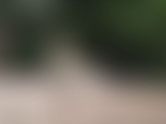 Montréal, entre science et castors