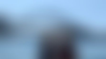 Maui, notre nouveau compagnon de route