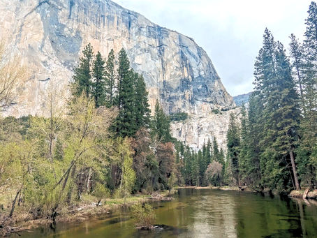 Yosemite et Junior Ranger !