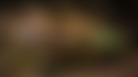 Chiang Mai: Elephants, Markets, and First Adventures