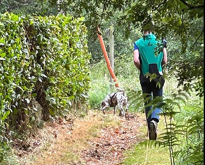 Image Recherche Utilitaire.jpg