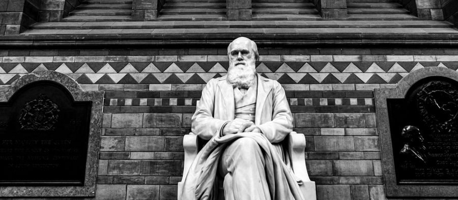 Reading Genesis before Darwin
