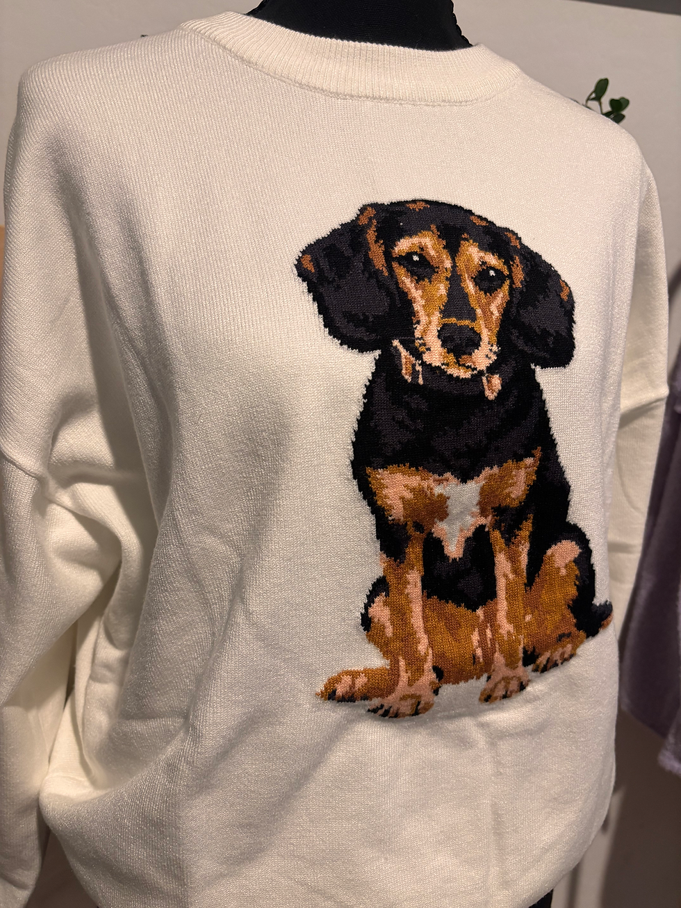 Thumbnail: Beagle Sweater