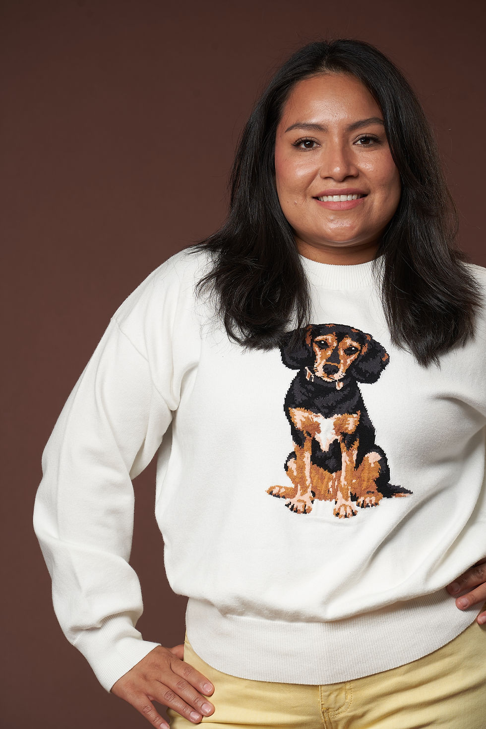 Thumbnail: Beagle Sweater
