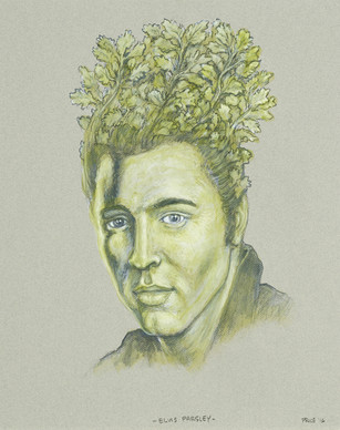 Elvis Parsley