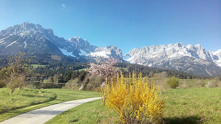 Panoramabild Heimat Tiroler Berge im Frühling mit blauem Himmel, Taschen-Atelier Sonja Zip