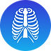 LOGO BIO AULAS (5).png