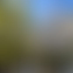 トヨタで学んだ“リスクの本質”：「まだ大丈夫」が一番危ない理由