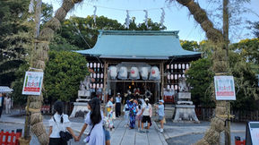 568城山八幡宮 大茅輪くぐり