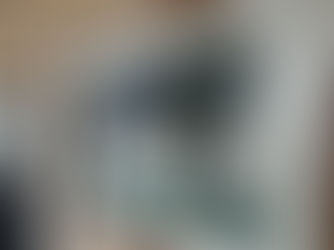 아버지께 드린 그림 [굶주린 사자]