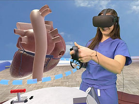 virtual-heart-stanford-childrens.jpg