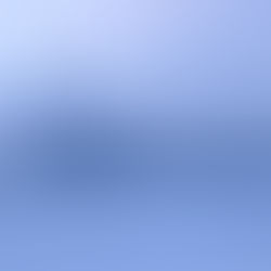 Bobby Socks Cathedral