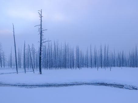 Bobby Socks Cathedral