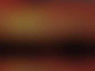 Reflecting on a Summer Day