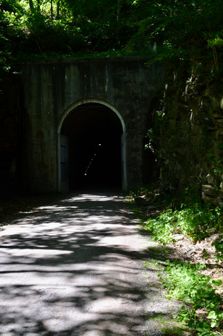 Savage Tunnel