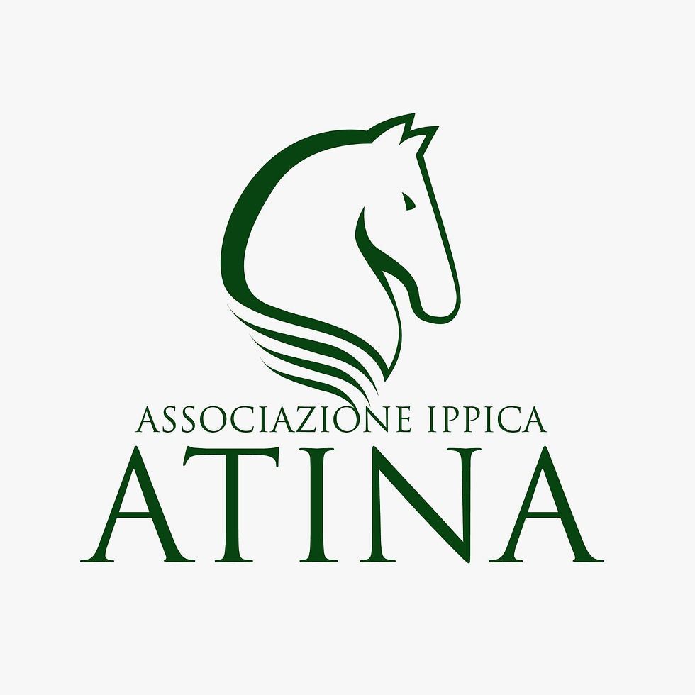 CSI** Atina