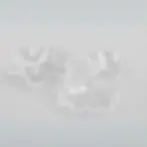 Diseño sin título (4).webp