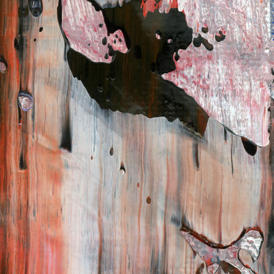 Scales - NFT - Release The Kraken - Web - B4.jpg