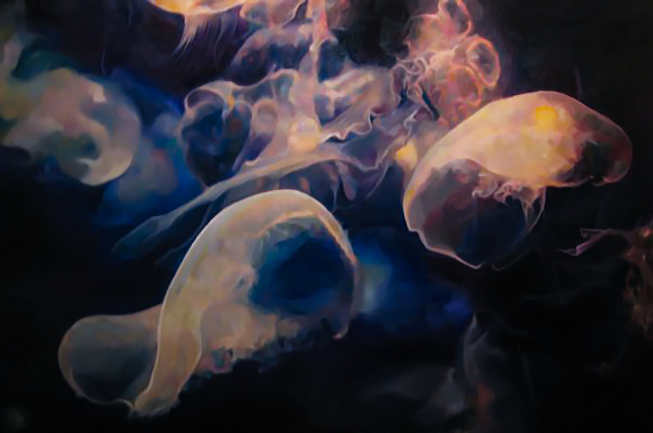 Visitors from the Deep