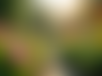 The Importance of Sustainable Living in Today's World