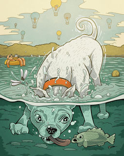 Lake Dog illustration by Brad Leiby aka 20 Arms. Illustration shows a white dog sticking its head into a lake. Underwater you see the dog eye to eye with a fish. They both look surprised.