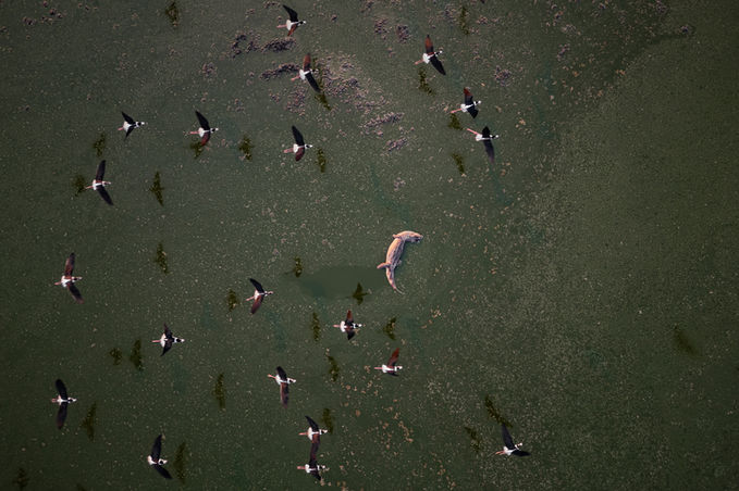 FJF_240724_0008_DJI_0736