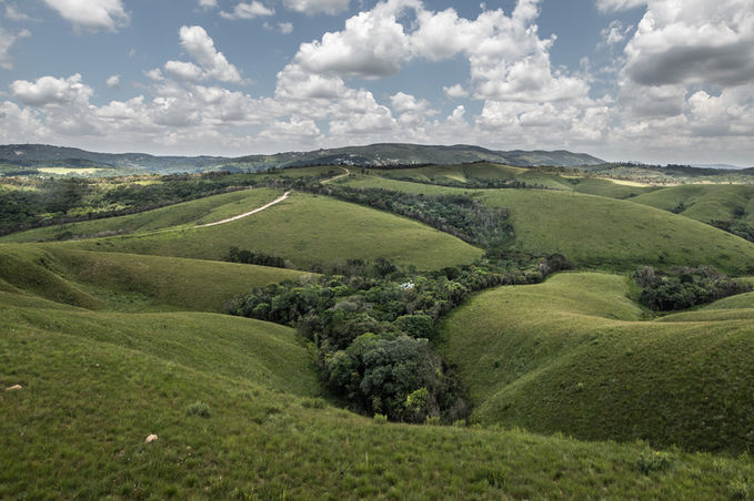 FJF_220223_1203_DSC_6272