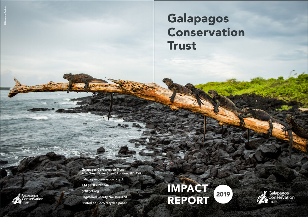 Galapagos Conservation Trust impact report 2019
