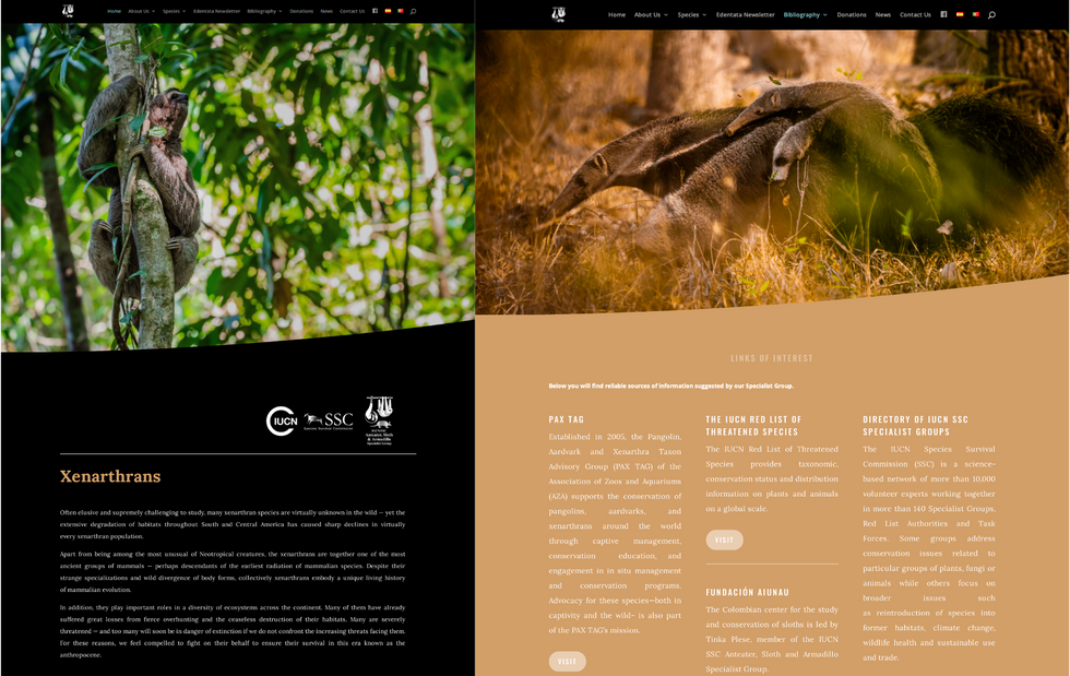 Website Xenarthras: "Cover" & "links of interest" pages photo.